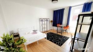 furnished studio apartments in berlin KUMMUNI