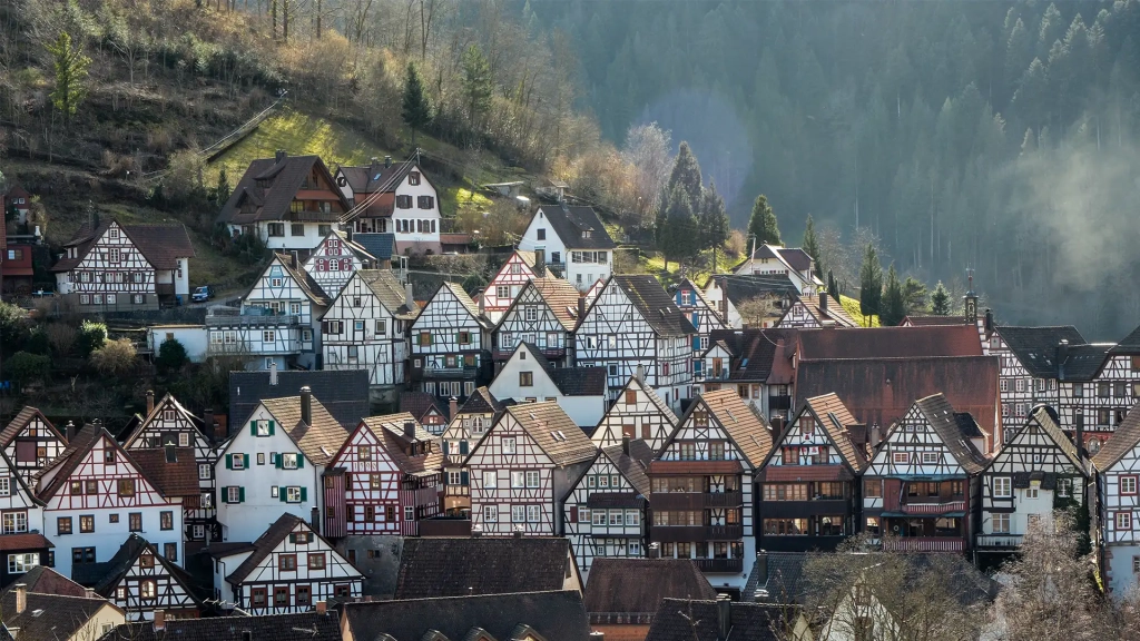 The Black Forest Germany