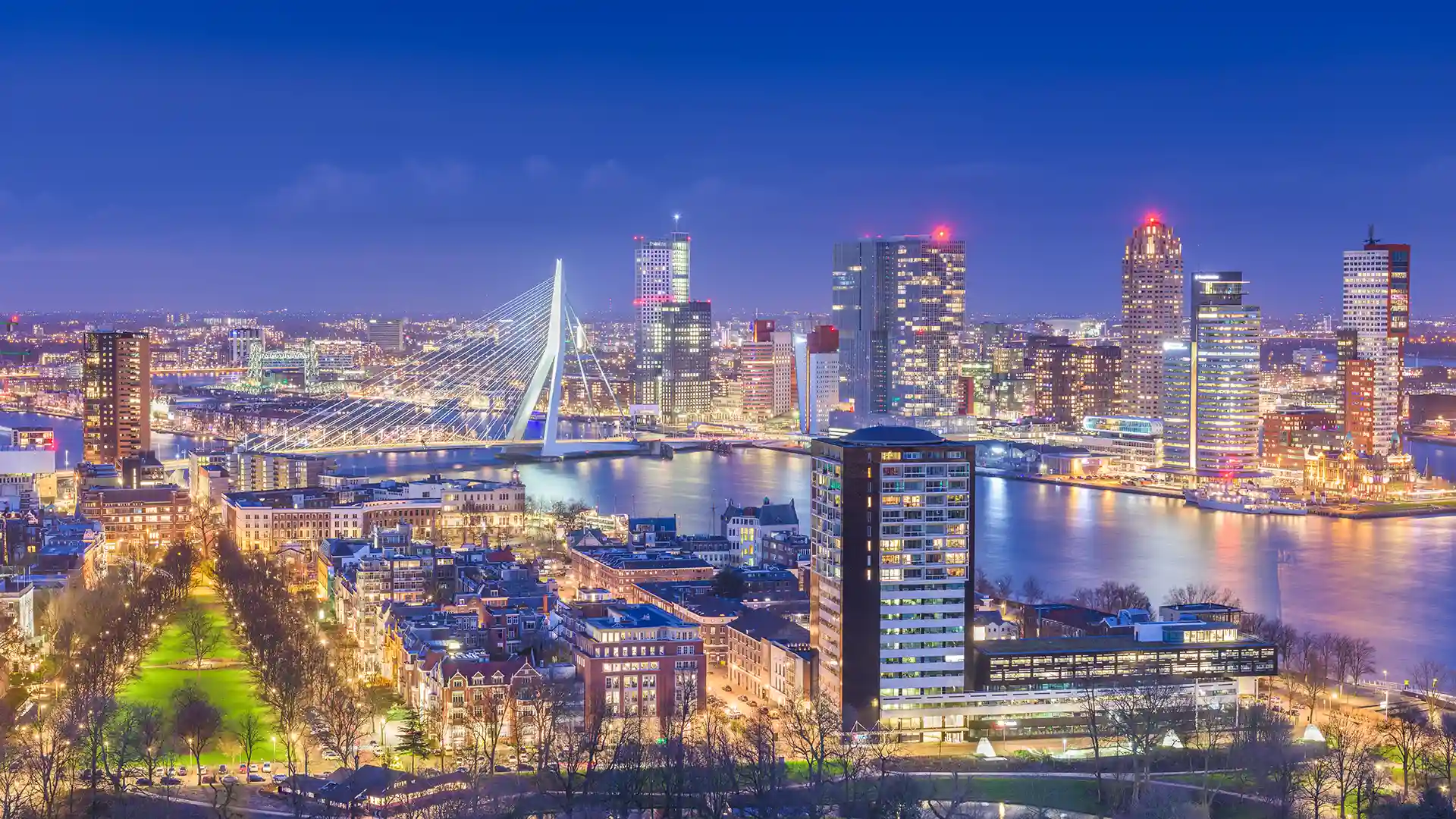 Expat Life in The Netherlands